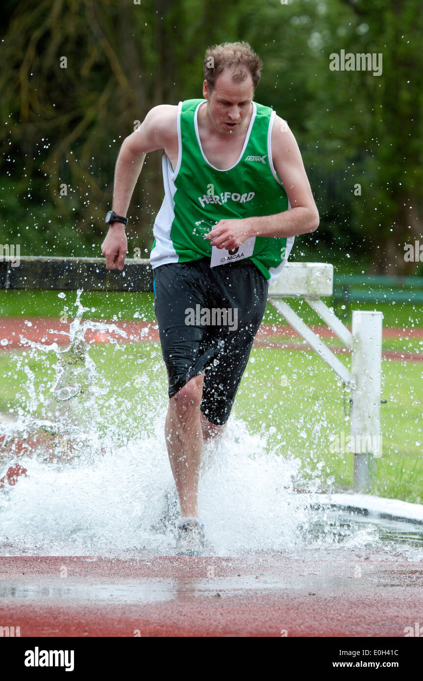 steeplechase spikes nike